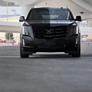 front Grill dechroming by Premium Car Hub